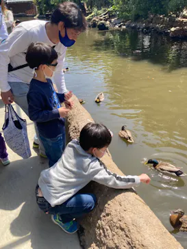 神戸どうぶつ王国に投稿された画像（2022/4/17）