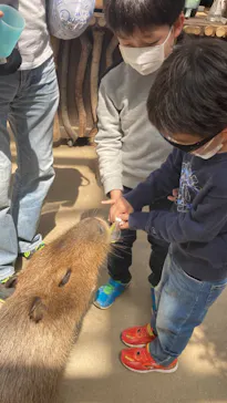 神戸どうぶつ王国に投稿された画像（2022/4/17）