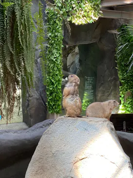 神戸どうぶつ王国に投稿された画像（2022/4/17）