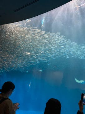 名古屋港水族館に投稿された画像（2022/4/17）