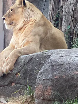 天王寺動物園に投稿された画像（2022/4/17）