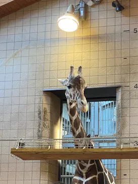 天王寺動物園に投稿された画像（2022/4/17）