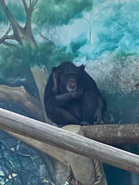 天王寺動物園に投稿された画像（2022/4/17）