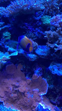 マクセル アクアパーク品川に投稿された画像（2022/4/17）