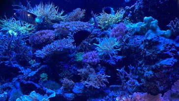 マクセル アクアパーク品川に投稿された画像（2022/4/17）