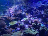名古屋港水族館に投稿された画像（2022/4/18）