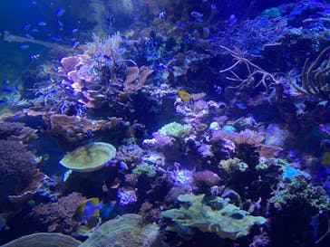 名古屋港水族館に投稿された画像（2022/4/17）