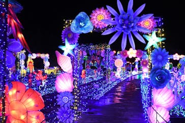 伊豆ぐらんぱる公園に投稿された画像（2022/4/17）