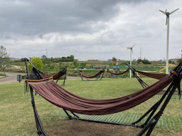 安城産業文化公園デンパークに投稿された画像（2022/4/17）