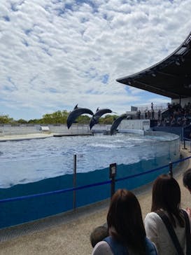 京都水族館に投稿された画像（2022/4/17）