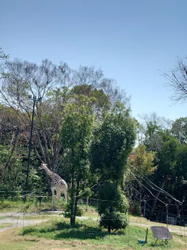 天王寺動物園に投稿された画像（2022/4/17）