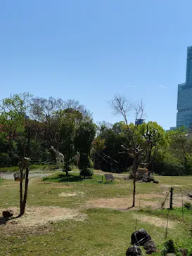天王寺動物園に投稿された画像（2022/4/17）