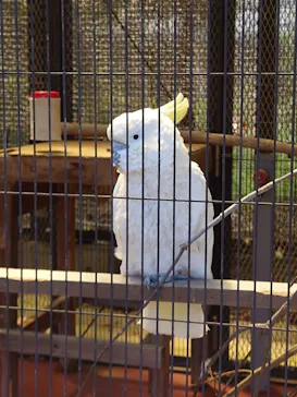 天王寺動物園に投稿された画像（2022/4/17）