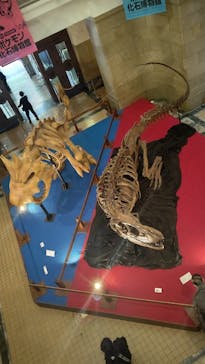 国立科学博物館　特別企画展「ポケモン化石博物館」に投稿された画像（2022/4/18）