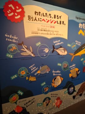 下田海中水族館に投稿された画像（2022/4/18）