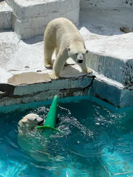 天王寺動物園に投稿された画像（2022/4/18）