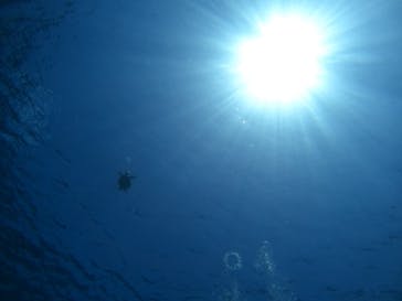 マリンクラブ ベリー 那覇店に投稿された画像（2022/4/18）