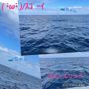 マリンクラブ ベリー 那覇店に投稿された画像（2022/4/18）