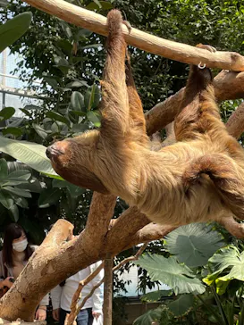 神戸どうぶつ王国に投稿された画像（2022/4/18）