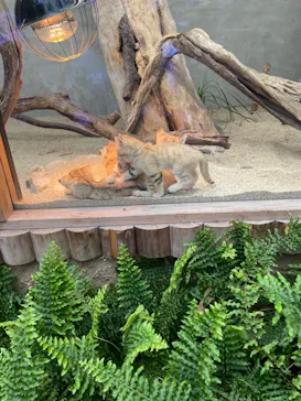 神戸どうぶつ王国に投稿された画像（2022/4/18）