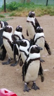 名古屋港水族館に投稿された画像（2022/4/18）