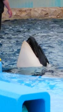 名古屋港水族館に投稿された画像（2022/4/18）