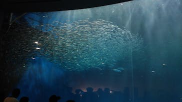 名古屋港水族館に投稿された画像（2022/4/18）