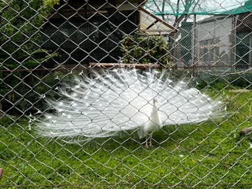 東武動物公園に投稿された画像（2022/4/18）
