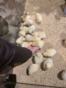 Moff animal world MARK IS みなとみらい店に投稿された画像（2022/4/18）