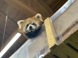 伊豆シャボテン動物公園に投稿された画像（2022/4/18）