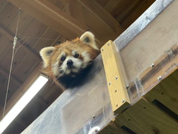 伊豆シャボテン動物公園に投稿された画像（2022/4/18）