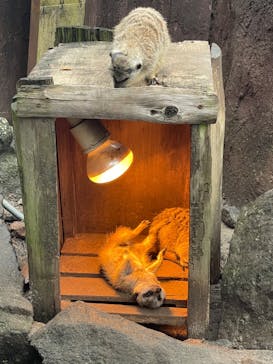 伊豆シャボテン動物公園に投稿された画像（2022/4/18）