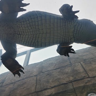 沖縄こどもの国に投稿された画像（2022/4/18）