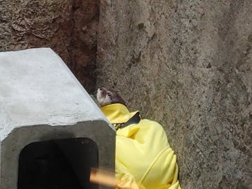 沖縄こどもの国に投稿された画像（2022/4/18）