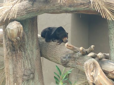 沖縄こどもの国に投稿された画像（2022/4/18）