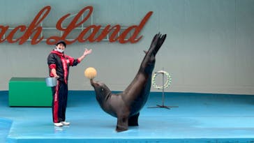 南知多ビーチランド＆南知多おもちゃ王国に投稿された画像（2022/4/18）