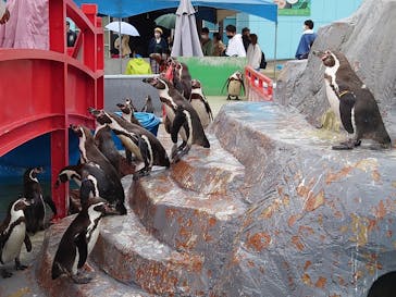 南知多ビーチランド＆南知多おもちゃ王国に投稿された画像（2022/4/18）