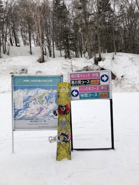 つがいけマウンテンリゾートに投稿された画像（2022/4/18）