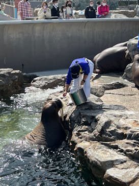 鴨川シーワールドに投稿された画像（2022/4/18）
