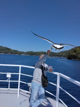 伊根湾めぐり遊覧船に投稿された画像（2022/4/18）