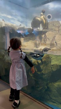 新江ノ島水族館に投稿された画像（2022/4/18）