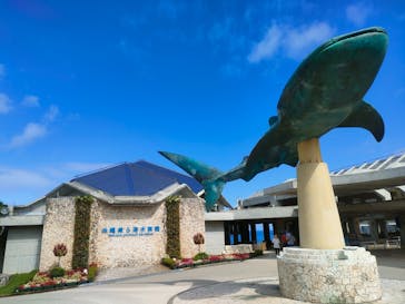 沖縄美ら海水族館に投稿された画像（2022/4/18）