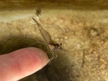 串本海中公園水族館に投稿された画像（2022/4/18）