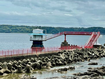 串本海中公園水族館に投稿された画像（2022/4/18）