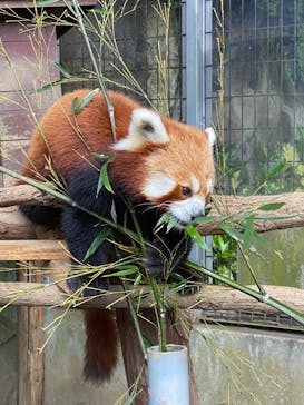 熱川バナナワニ園に投稿された画像（2022/4/18）