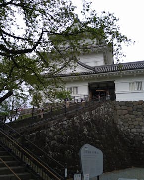 小田原城に投稿された画像（2022/4/18）