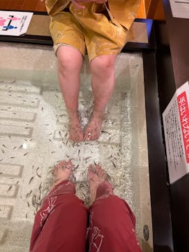 有馬温泉 太閤の湯に投稿された画像（2022/4/18）