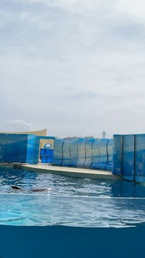 新江ノ島水族館に投稿された画像（2022/4/18）