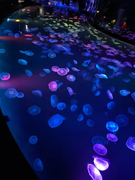 すみだ水族館に投稿された画像（2022/4/18）