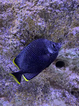 すみだ水族館に投稿された画像（2022/4/18）